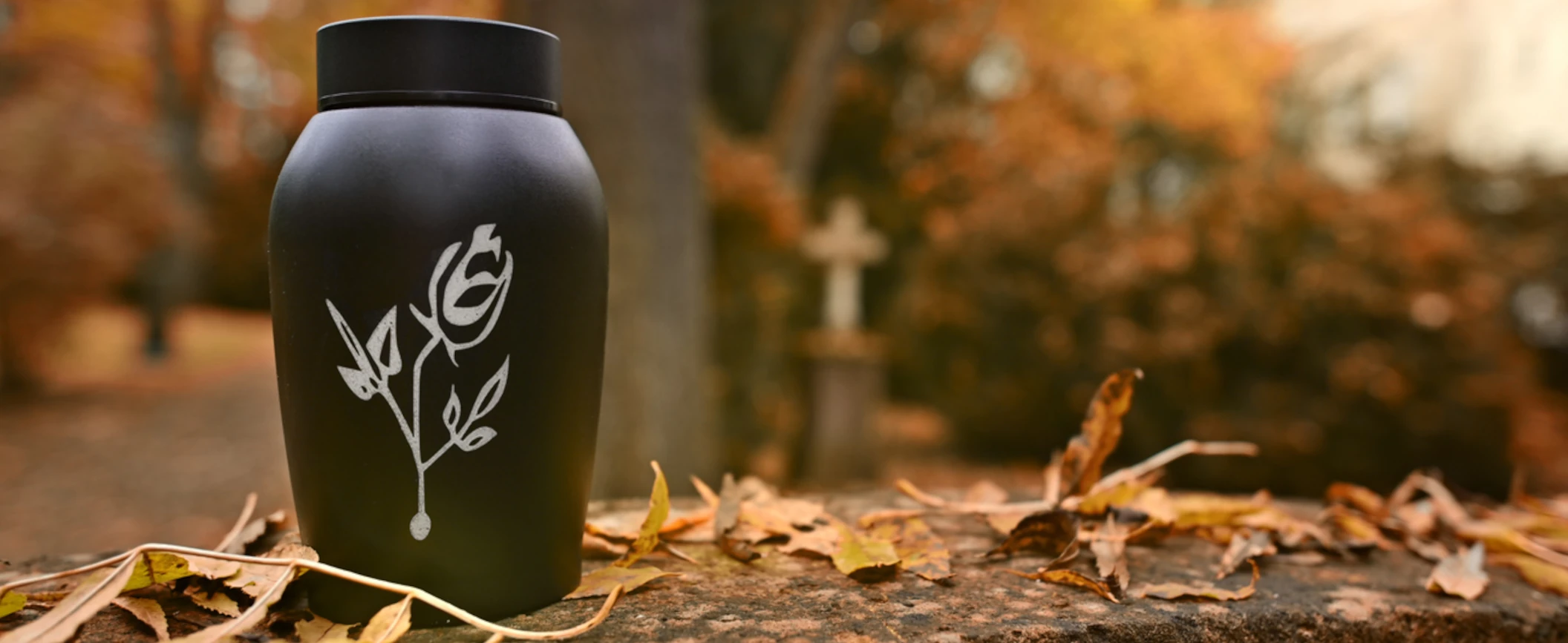 Disperdere le ceneri in natura, le normative