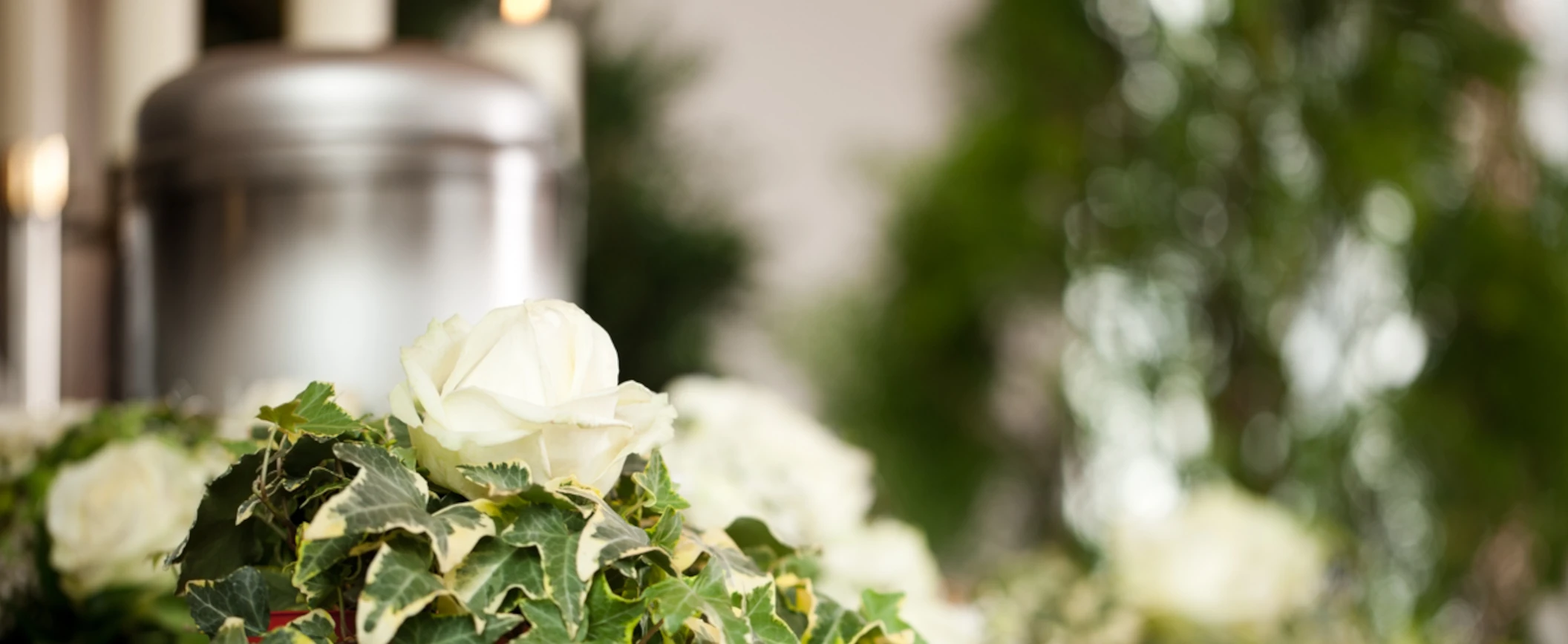 Gestione delle ceneri