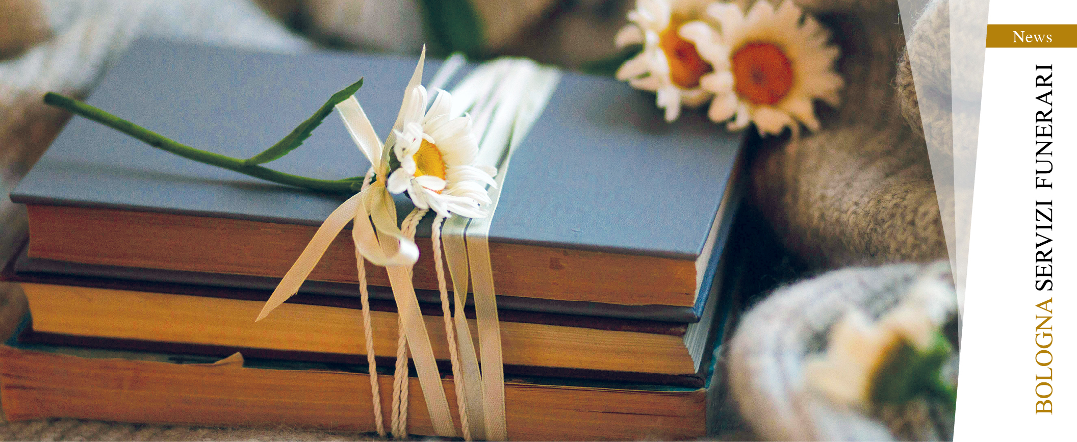 Book-crossing Certosa