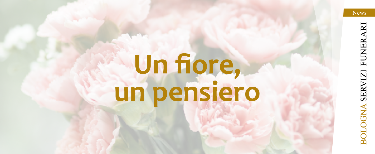 un fiore
