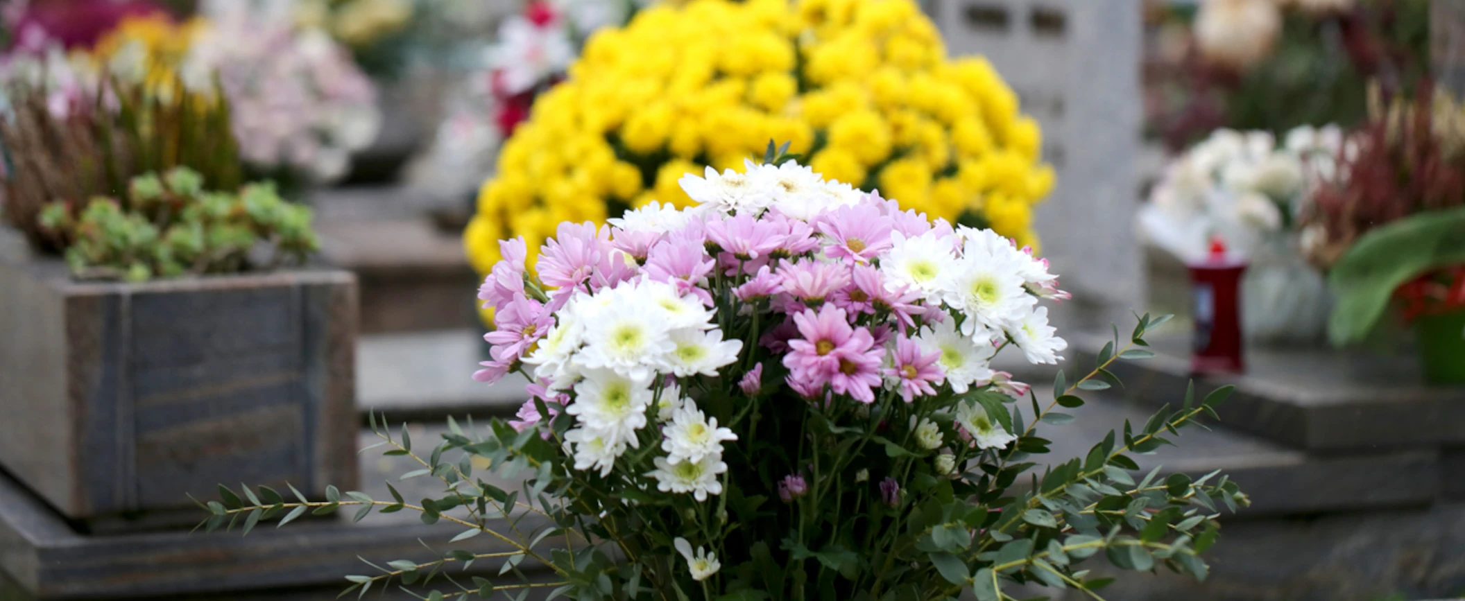 Tumulazione e inumazione