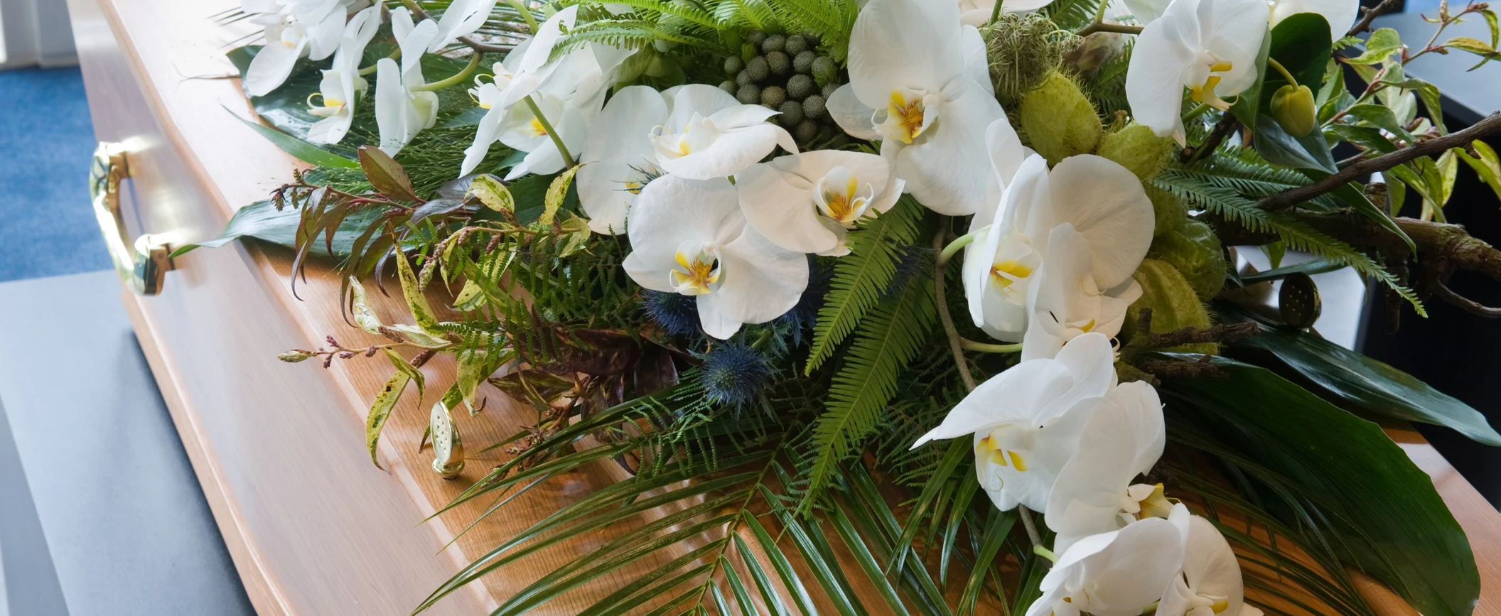 Servizi di onoranze funebri