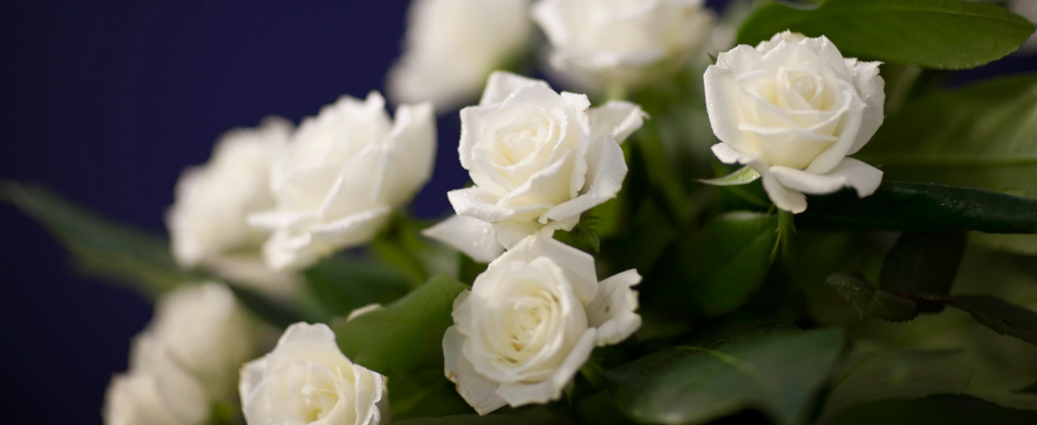 Fiori per il funerale